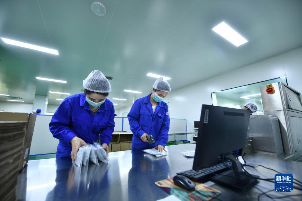 手机连线戏现金